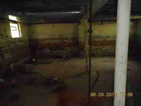 4654 Cope (12)_m.jpg